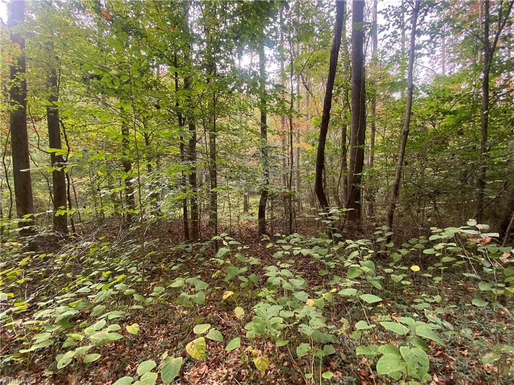 Land in North Wilkesboro