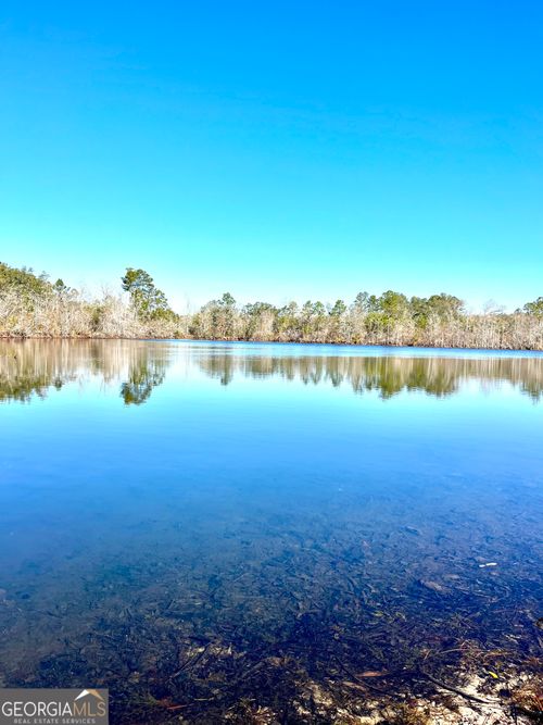 00 Lynntown Road, Collins, GA, 30421 | Card Image