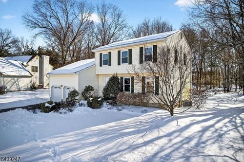 141 Terhune Ln, Hillsborough, NJ, 08844-3426 | Card Image