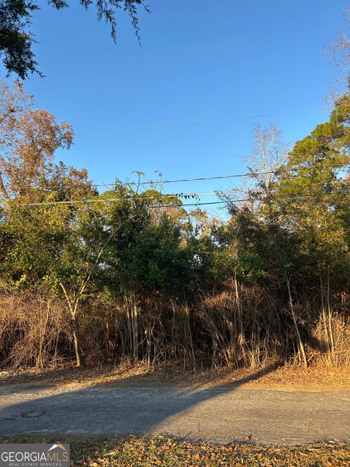 0 Bonaire Ext, Mc Rae Helena, GA, 31055 | Card Image