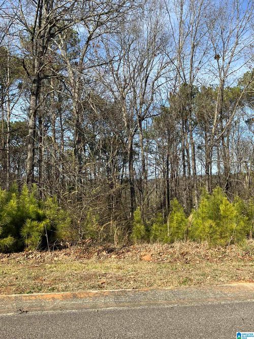 11-11 Woodland Hills Dr, SPRINGVILLE, AL, 35146-3244 | Card Image