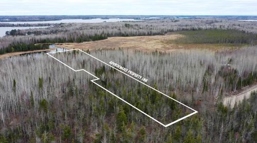 TBD Parcel 15 Hwy 115, Tower, MN, 55790 | Card Image