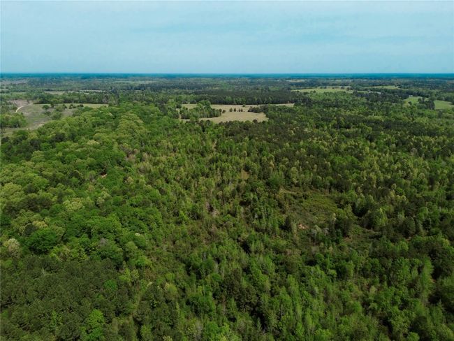 0 County Road 2742, Home with 0 bedrooms, 0 bathrooms and null parking in Naples TX | Image 33