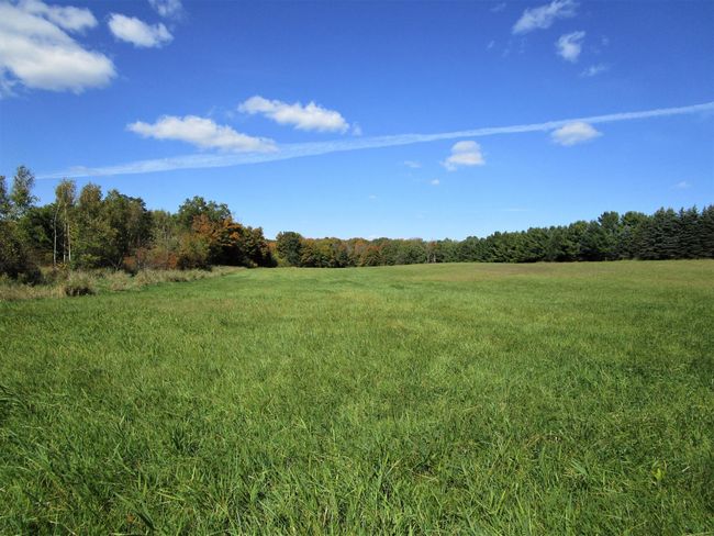Open Land/Lot In Front | Image 20