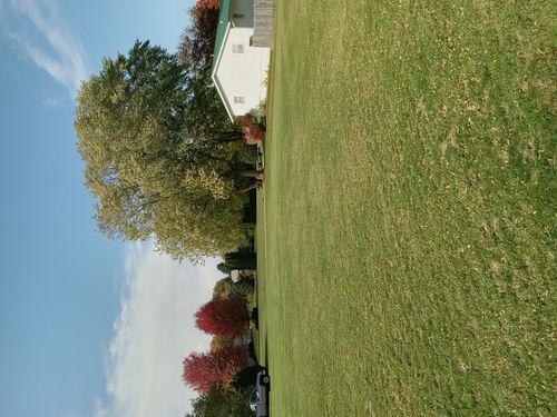 0 10th Ave S, Albany, IL, 61230 | Card Image