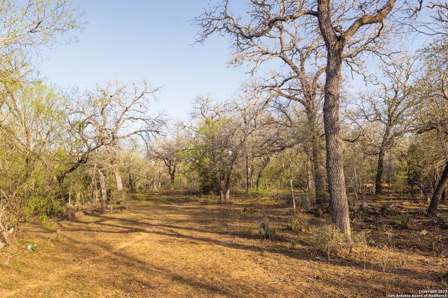 343 Batey Rd, Home with 3 bedrooms, 2 bathrooms and null parking in Nixon TX | Image 39