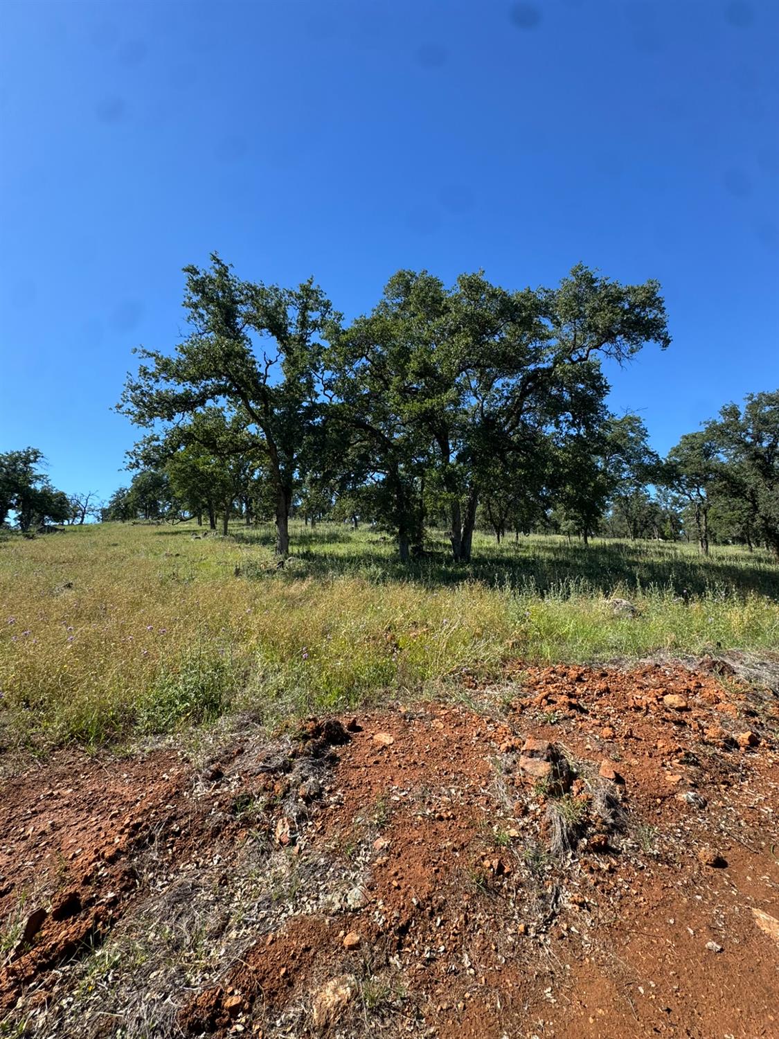 Land in Browns Valley 4