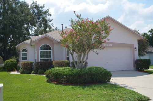 11333 Pink Blossom Ct, ORLANDO, FL, 32821-5517 | Card Image