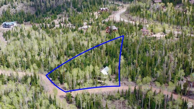 View of property location with a forest and property parcel outlined | Image 48