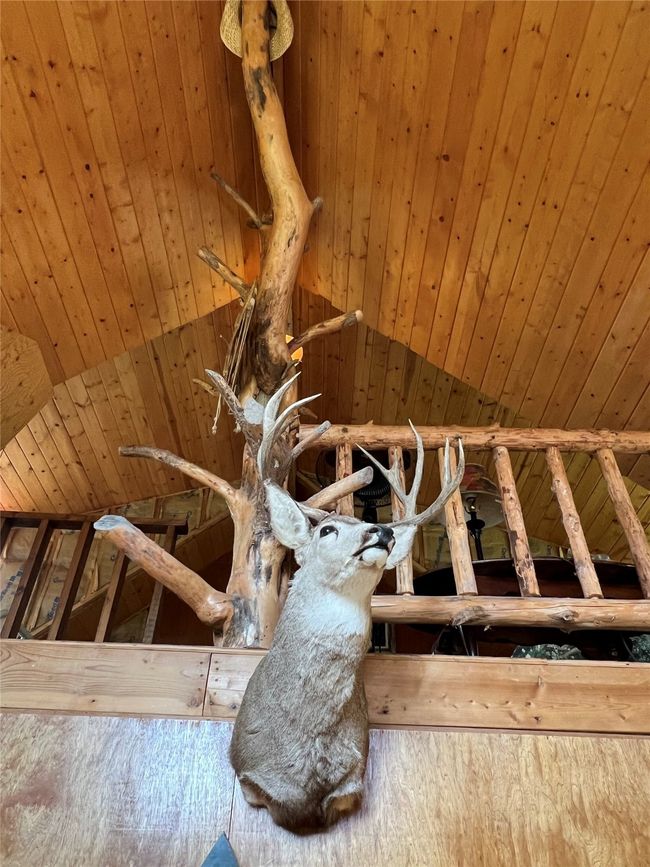 another view | Image 37