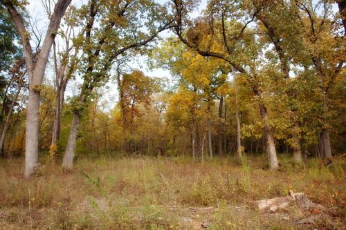 3820-Lot 83 167th Avenue, Lowell, IN, 46356 | Card Image