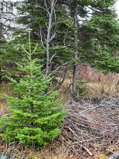 104-108 Highway East, Victoria, NL, A0A4G0 | Card Image