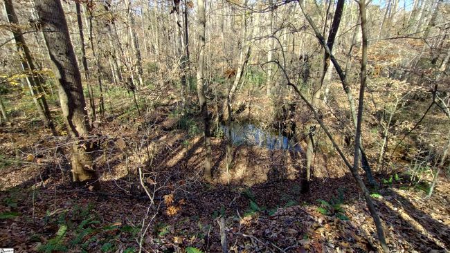 00A Sullivan Rd, Home with 0 bedrooms, 0 bathrooms and null parking in Laurens SC | Image 11