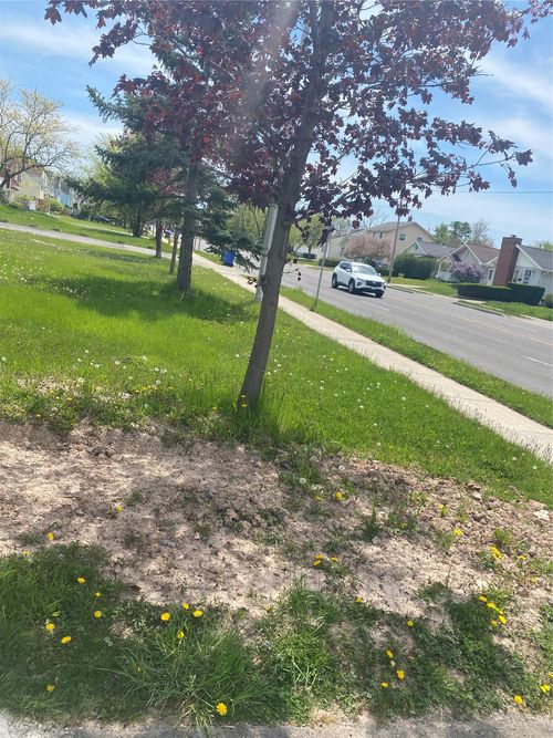 321 Niagara Falls Blvd, Amherst, NY, 14226-3048 | Card Image