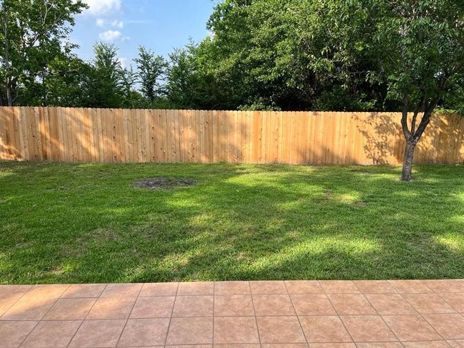 Large Backyard with New Fence! | Image 16