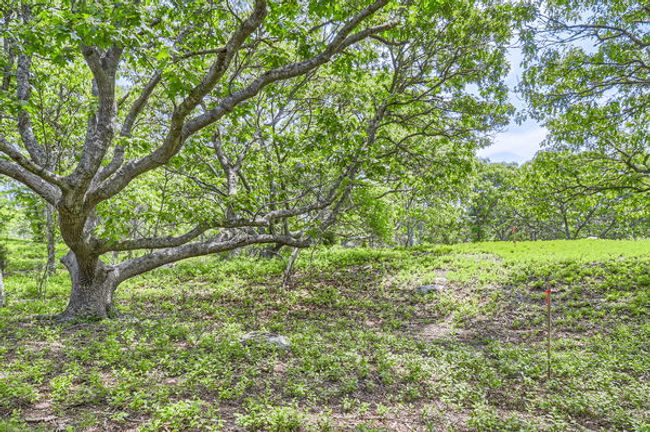 4 Cedar Ln, Home with 0 bedrooms, 0 bathrooms and null parking in Chilmark MA | Image 4