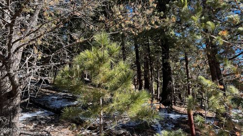 123 Canyon Trl, Cloudcroft, NM, 88317-9585 | Card Image