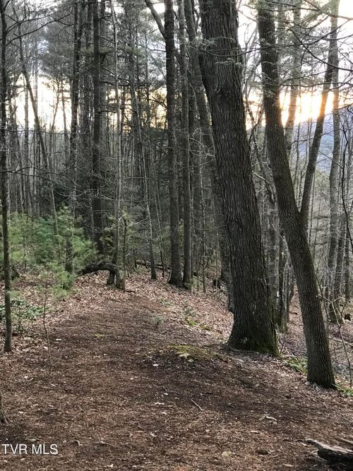 Tbd00 Mohawk Dr, Mountain City, TN, 37683 | Card Image