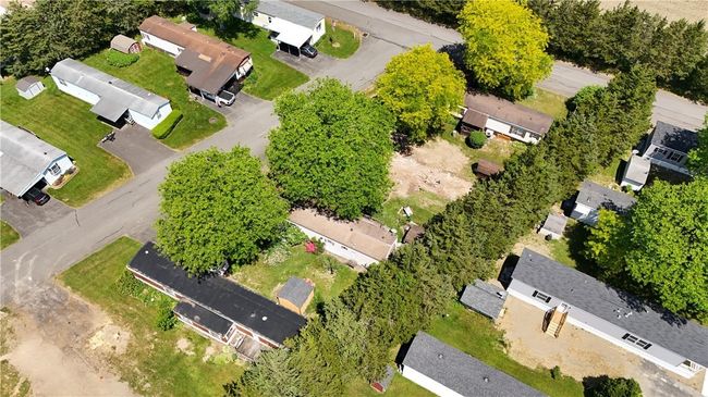 View of bird's eye view | Image 8