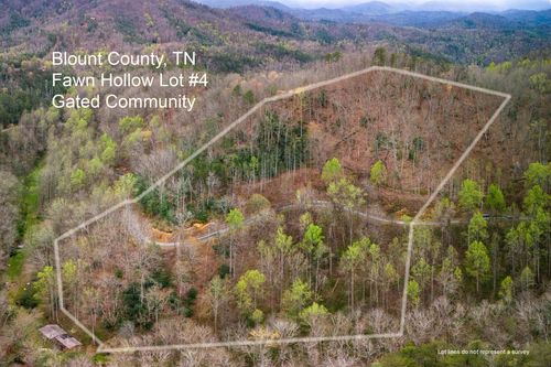 1017 Big Buck Trail, Townsend, TN, 37882 | Card Image