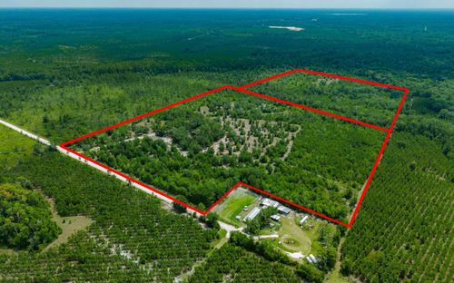 1013 Se Red Cason Dr, Lulu, FL, 32061-7600 | Card Image