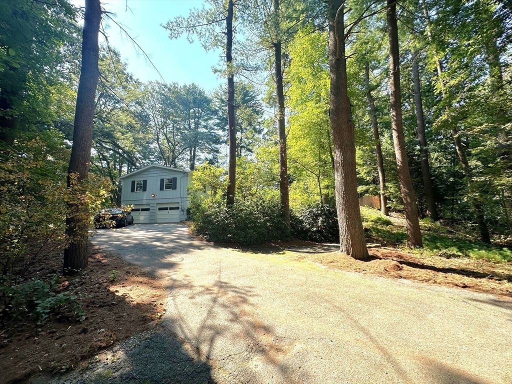 Concord Rd, Wayland, MA 01778