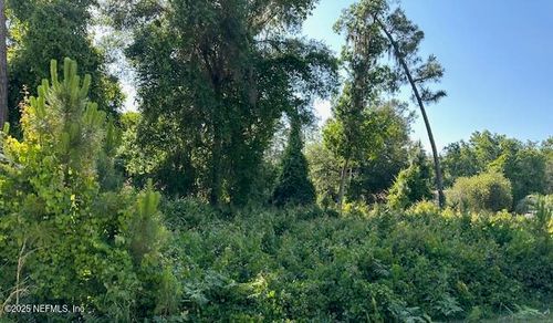 203 Plumosa Dr, Georgetown, FL, 32139-2124 | Card Image