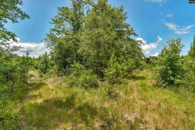 0000 N Brewington Rd, Home with 0 bedrooms, 0 bathrooms and null parking in Manning SC | Image 68
