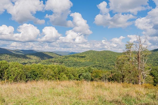 214 Comers Creek Rd, Home with 0 bedrooms, 0 bathrooms and null parking in Sugar Grove VA | Image 43