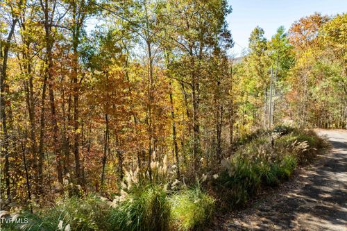 Tbd 000 Blackberry Hill Ln, Mountain City, TN, 37683 | Card Image