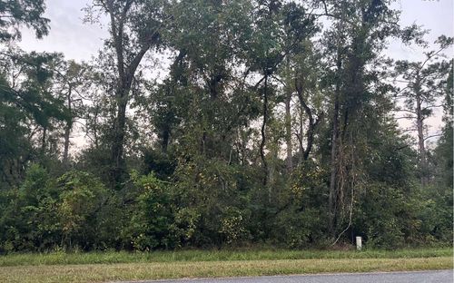 TBD Martin Luther King Dr Sw, Jasper, FL, 32052 | Card Image