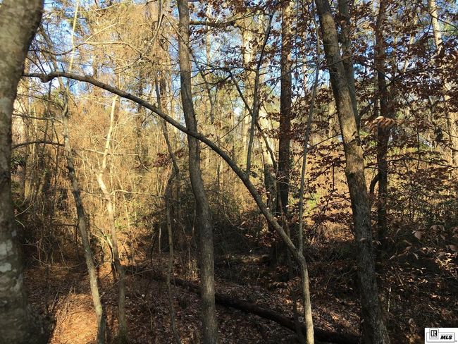 000 Highway 15, Home with 0 bedrooms, 0 bathrooms and null parking in Downsville LA | Image 14