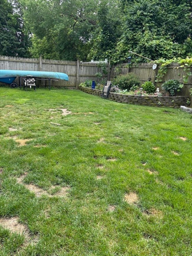 20 Osgood Ave, House other with 3 bedrooms, 2 bathrooms and 3 parking in Lowell MA | Image 31