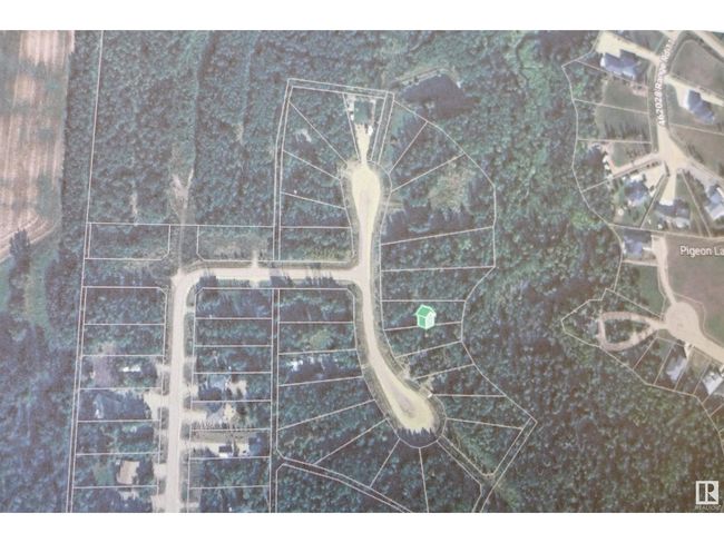 11032 Highway 13, Home with 0 bedrooms, 0 bathrooms and null parking in Westerose AB | Image 10
