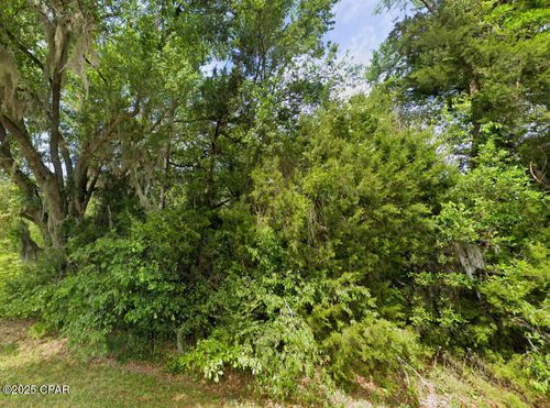 0 Messer Rd, Sneads, FL, 32460 | Card Image