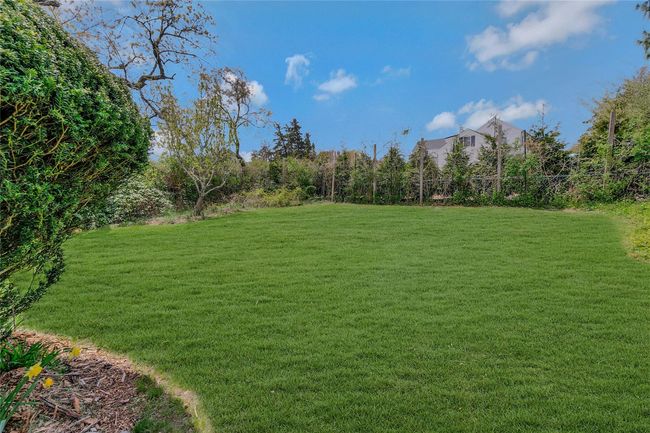 View of yard | Image 18
