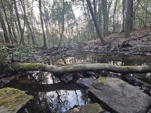 100 Clendenon Rd, Spencer, TN, 38585-4630 | Card Image