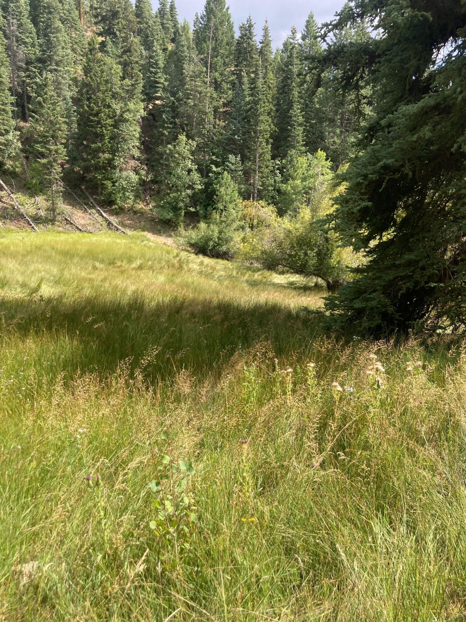Land in Duck Creek Village 3