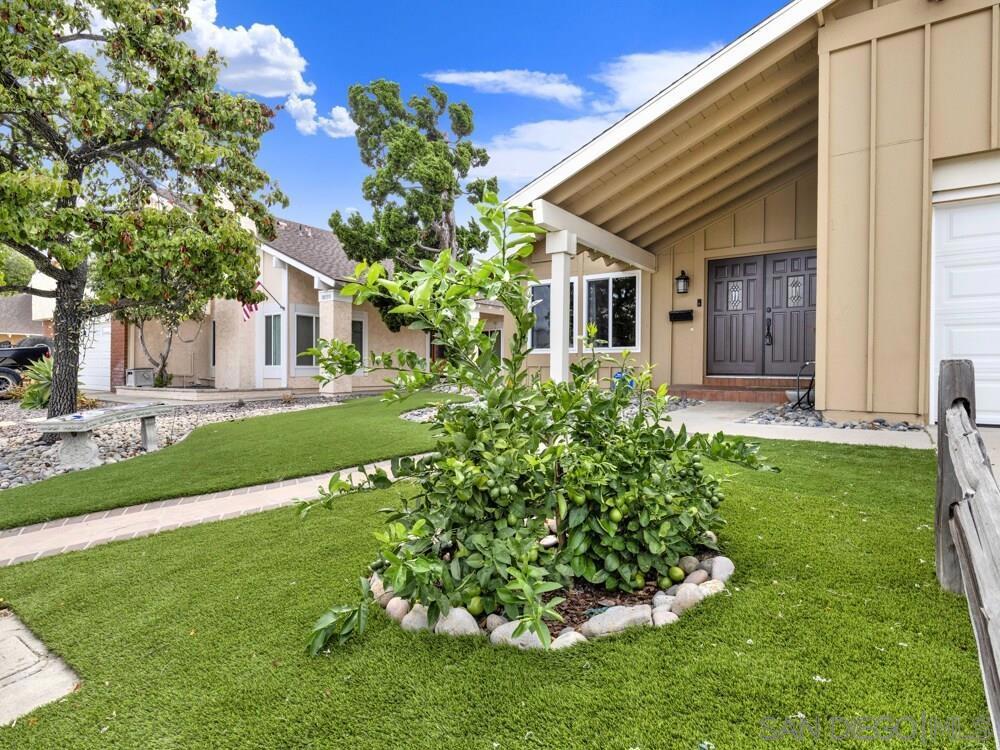 Residential in San Diego 3