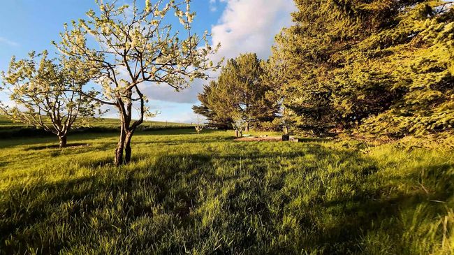 6302 Sand Rd, Home with 4 bedrooms, 3 bathrooms and null parking in Pullman WA | Image 14