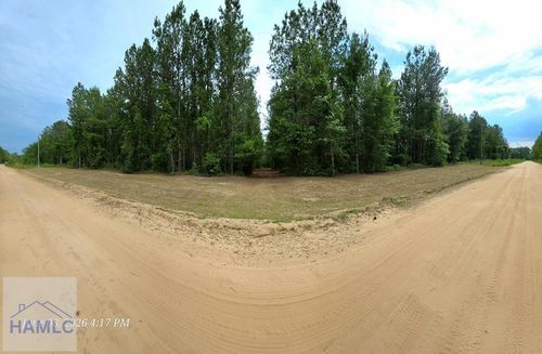 Lot 14 Hillman Drive Se, Ludowici, GA, 31316 | Card Image