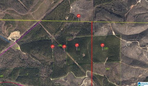 x-x-0 Us Highway 278, Piedmont, AL, 36272 | Card Image