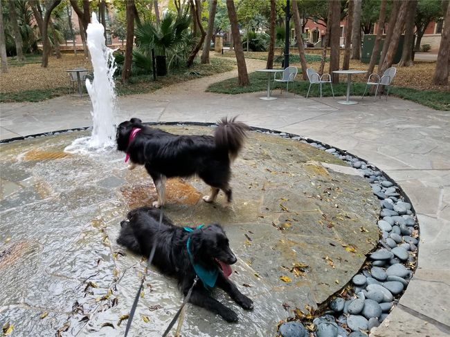 Bosque park is a small forest with free wifi, benches and fountains | Image 34