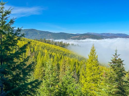 Nhn Pats Knob Rd, Plains, MT, 59859 | Card Image