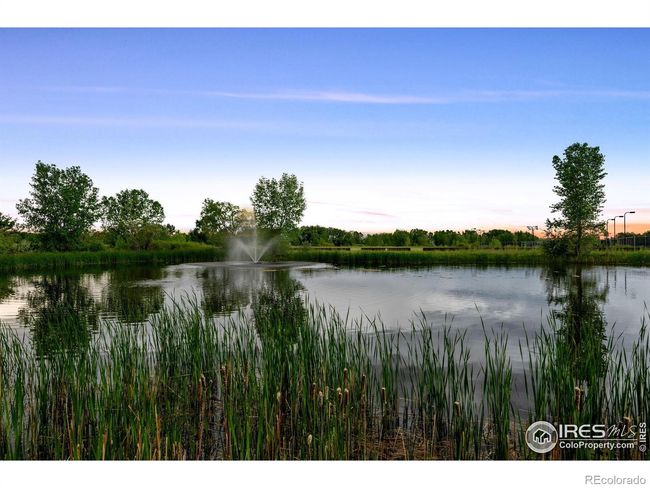 Local lakes and trails are close-by | Image 37