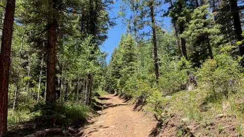 4.29 Acres Sawyer Mesa Road, Pecos, NM, 87552 | Card Image