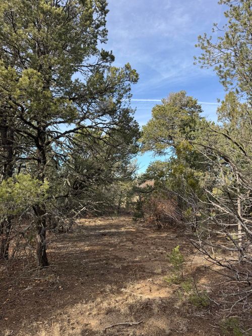 90 Candelaria Rd, Tijeras, NM, 87059-8275 | Card Image