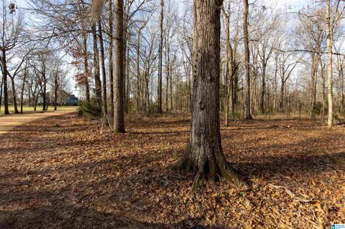 45-0 River Oaks Landing Cir, Orrville, AL, 36767 | Card Image