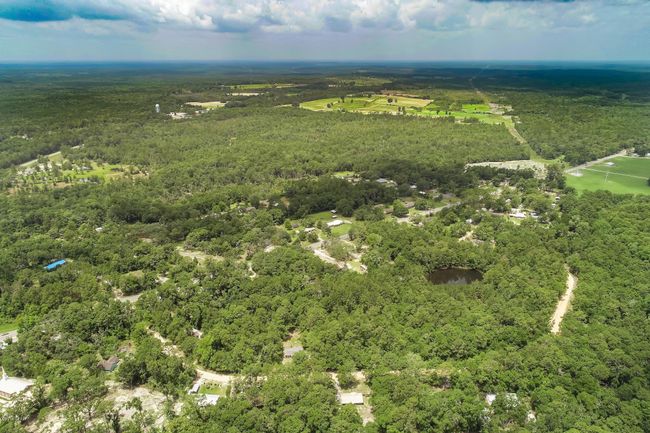 Lot 15 Blue Creek Rd, Home with 0 bedrooms, 0 bathrooms and null parking in Ponce De Leon FL | Image 4