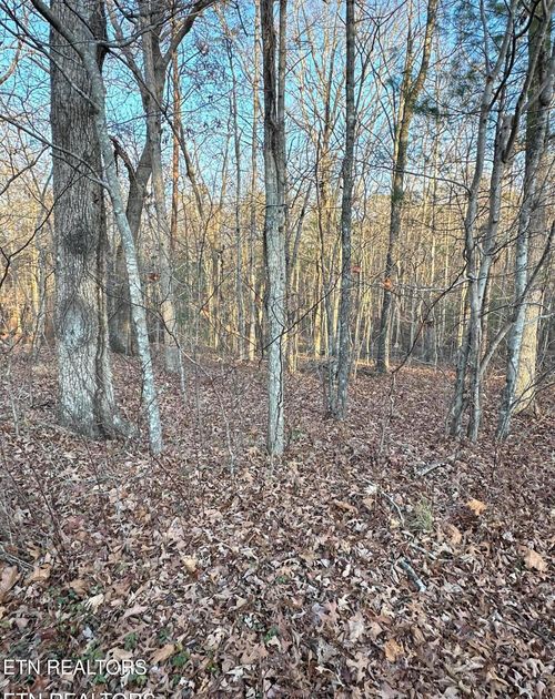 21 Burnaby Ct, Crossville, TN, 38558-7366 | Card Image